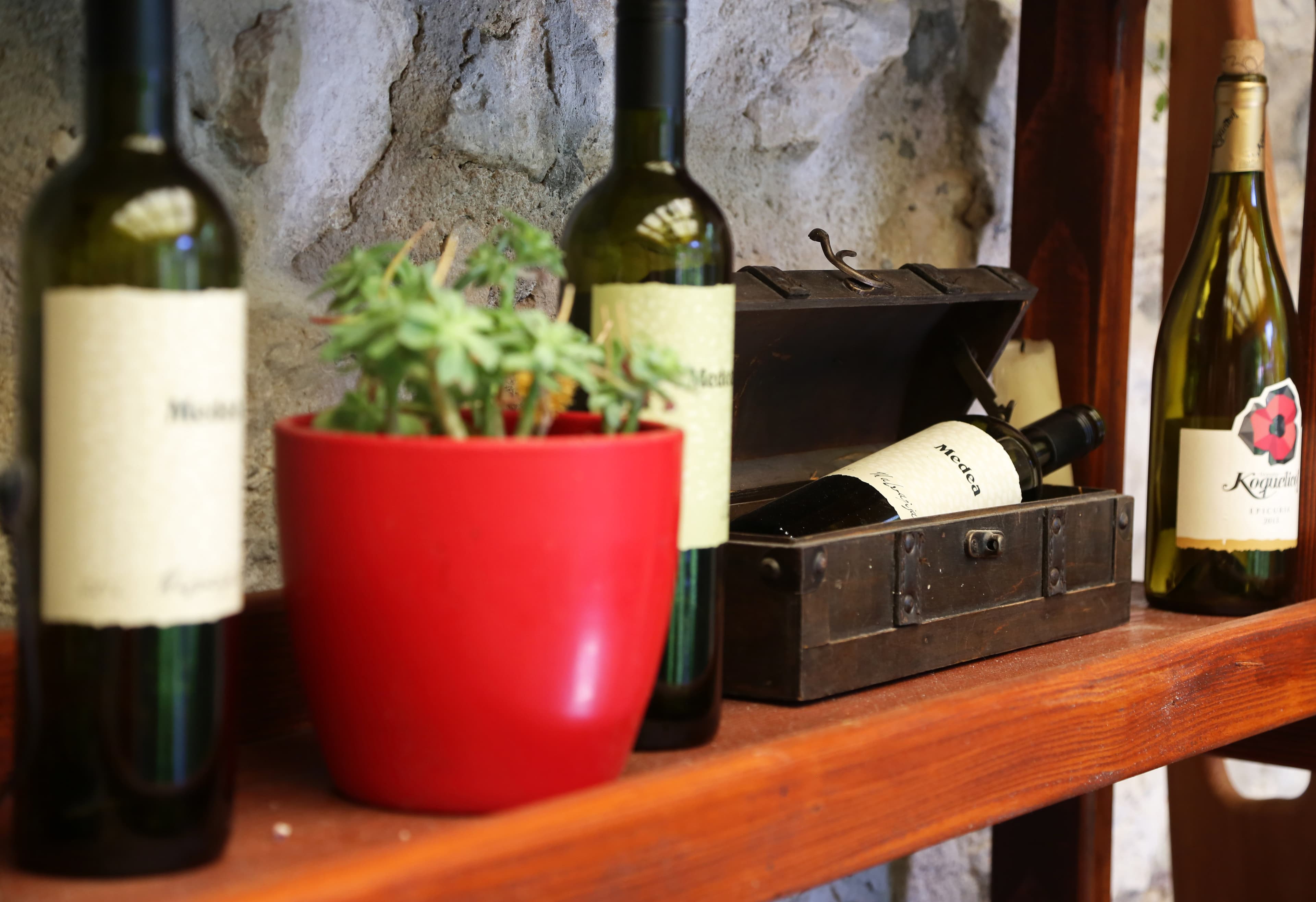Izlog vinoteke Wine Garden Skradin s bocama hrvatskih vina i biljkama na drvenim policama